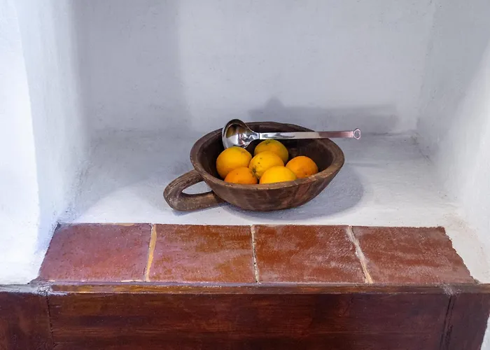 Telegraphus Boutique